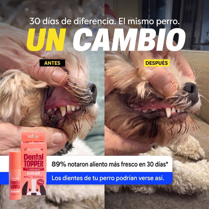 Dog Dental Spray