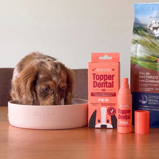Dog Dental Spray