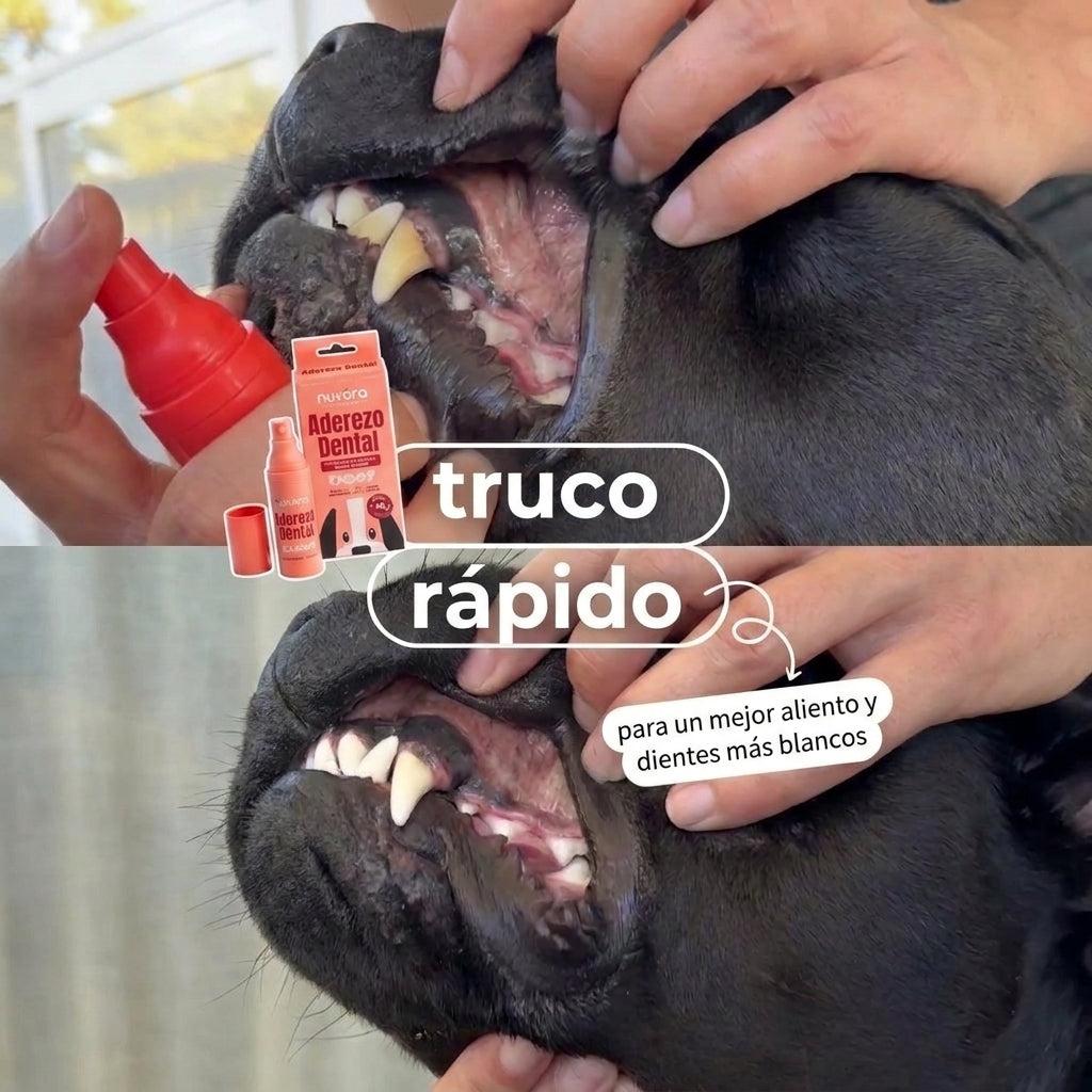 Dog Dental Spray